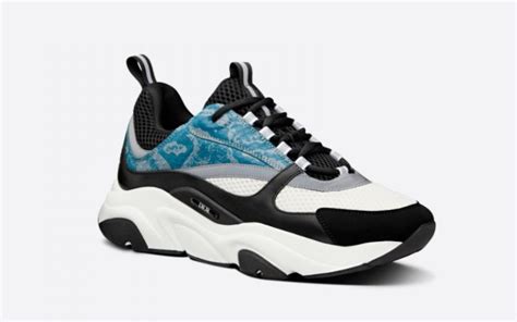 dior schoenen heren b22